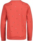 Sweaters - Rode sweater Campus 12