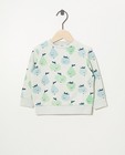 Lichtgroene sweater van biokatoen - met print - Cuddles and Smiles