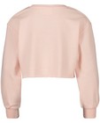 Sweaters - Roze sweater Steffi Mercie