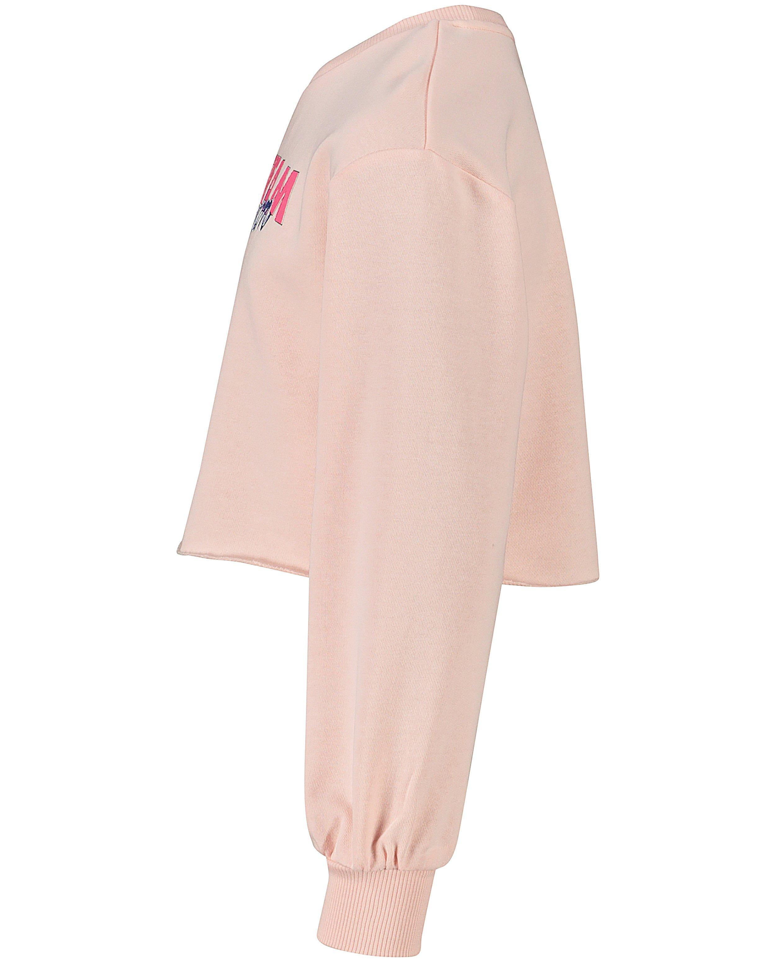Sweaters - Roze sweater Steffi Mercie