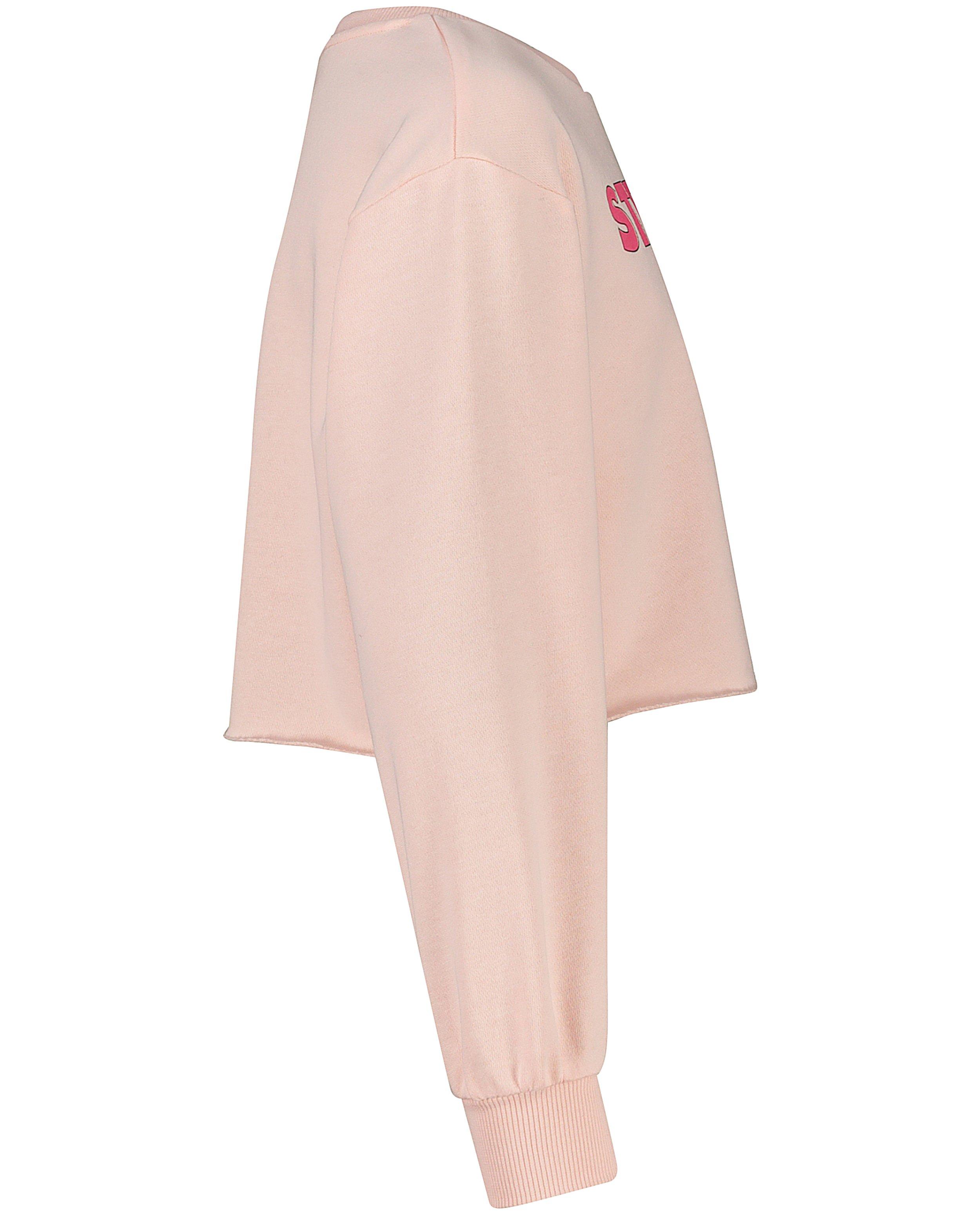 Sweaters - Roze sweater Steffi Mercie
