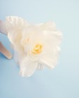 Bonneterie - Diadème avec fleur Communion