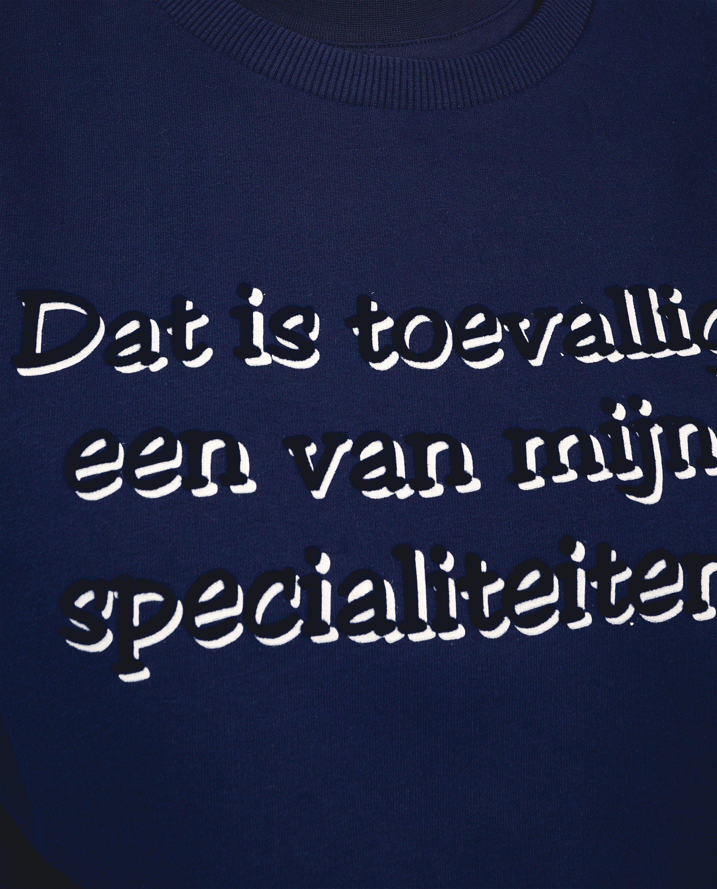 Sweaters - Unisex sweater, Samson en Gert