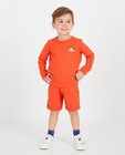 Oranje sweater Hampton Bays - Geborduurde zwemmer - Hampton Bays