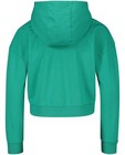 Sweaters - Groene hoodie Gers Pardoel