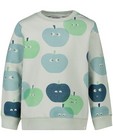 Sweats - Lichtgroene sweater met print