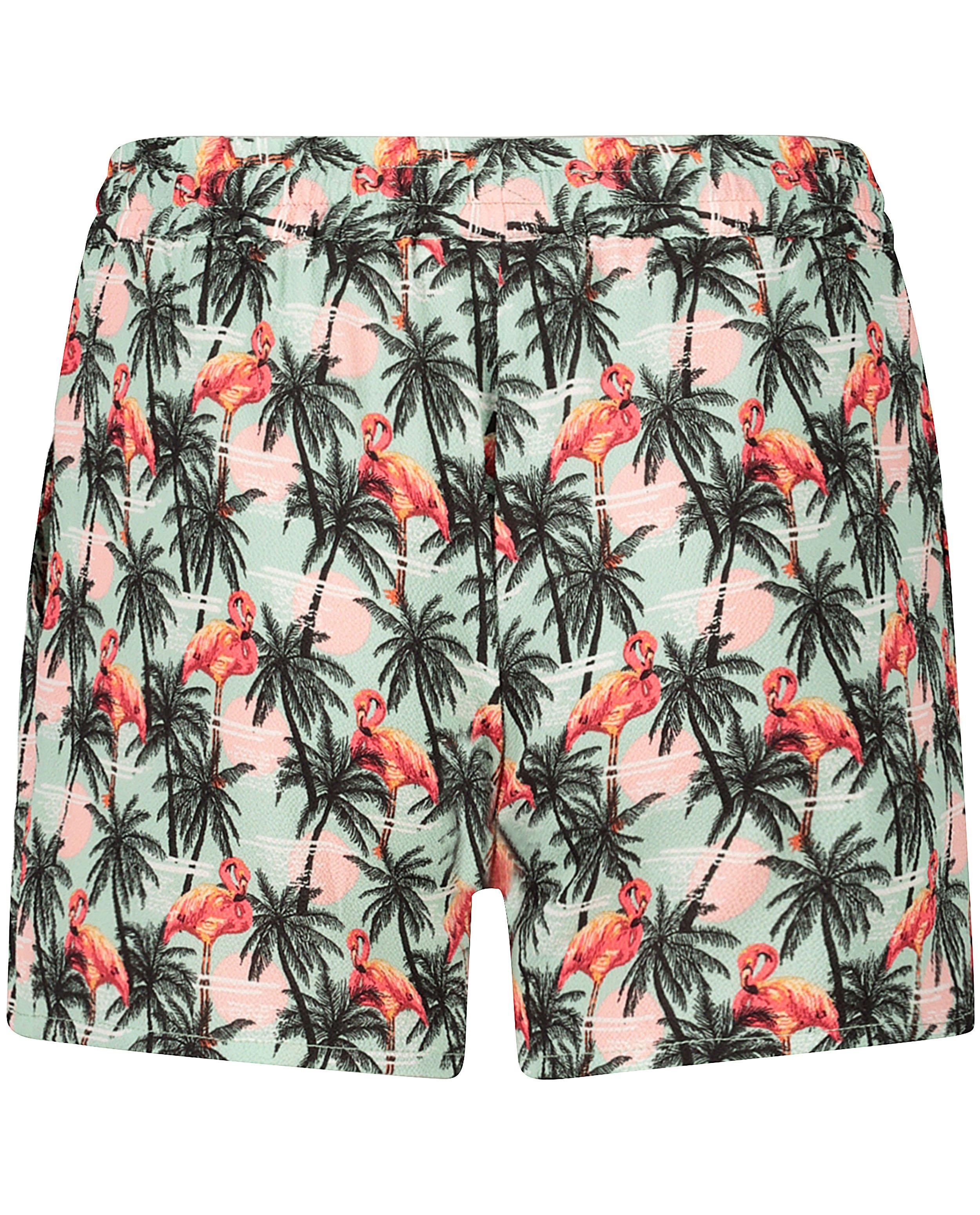 Shorts - 