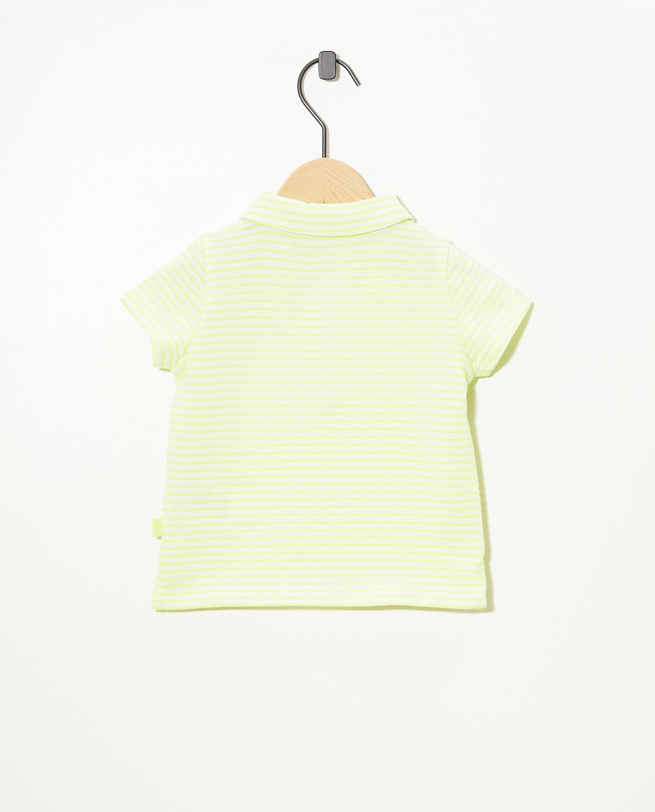 Polos - 