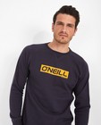 Sweaters - Donkergrijze sweater O'Neill