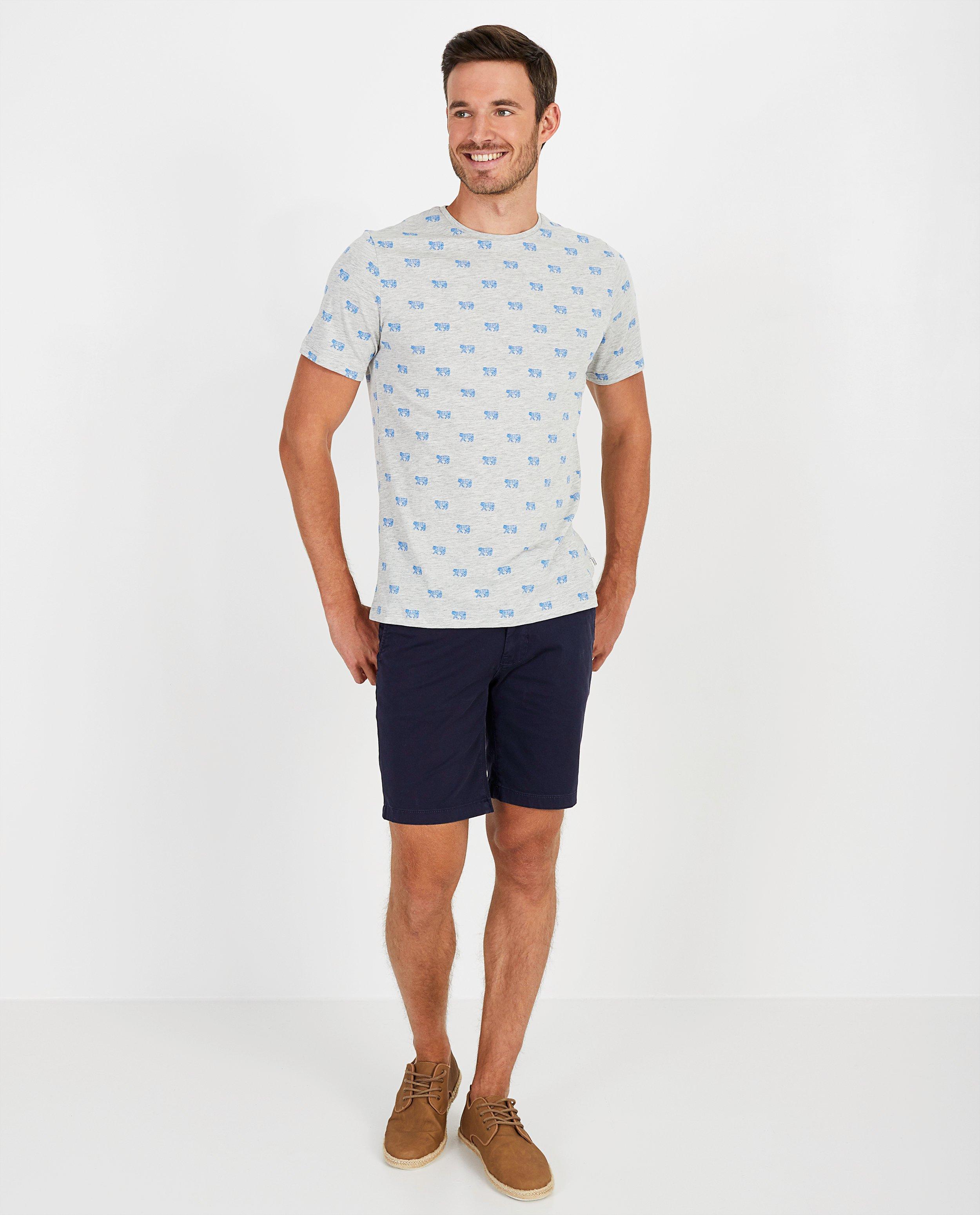 T-shirt met print League Danois - tijgerprint in blauw - League Danois