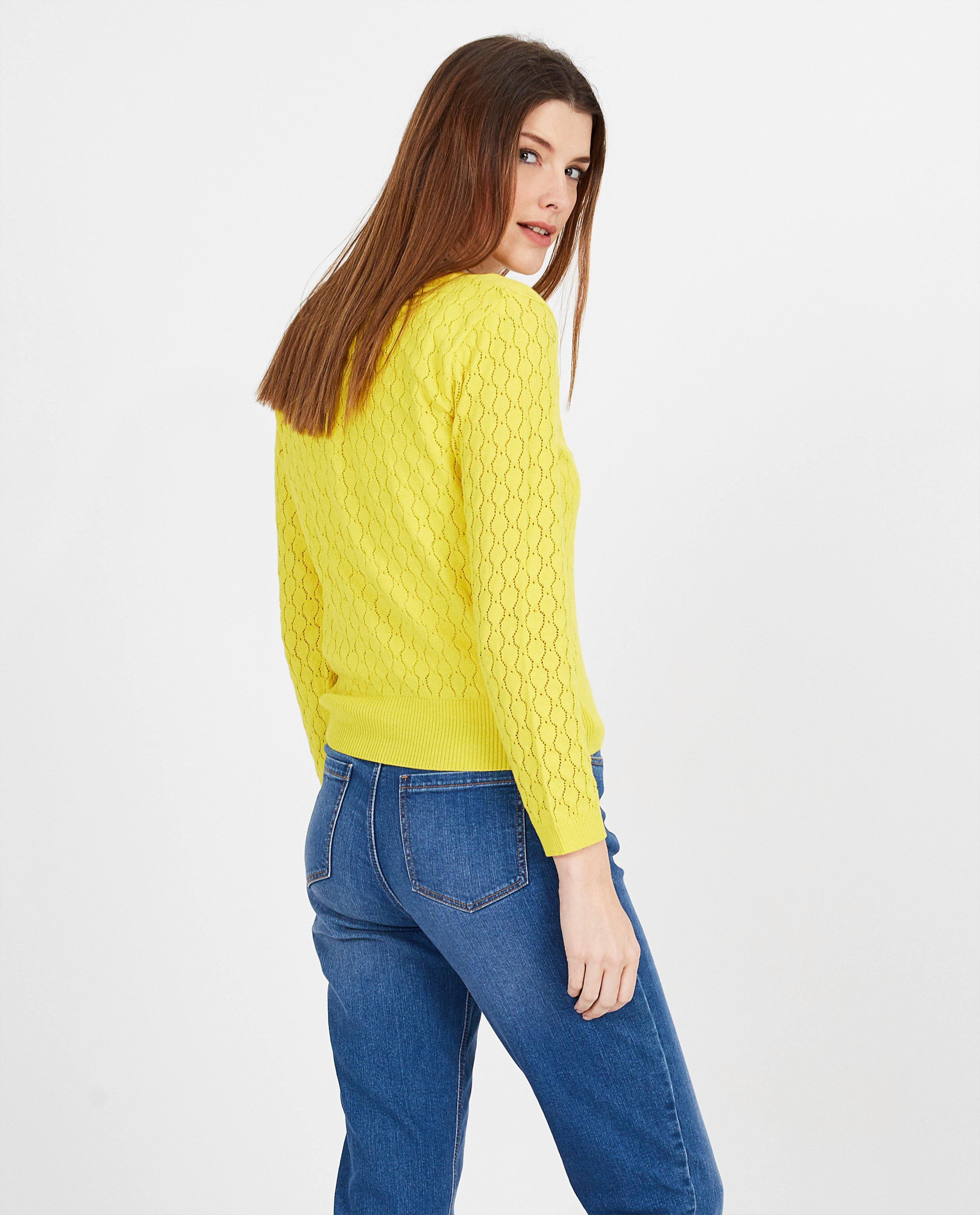 Cardigans - Cardigan met ajour Froy en Dind