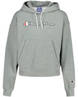 Grijze hoodie Champion - Comfort fit - Champion