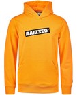 hoodie - null - Raizzed