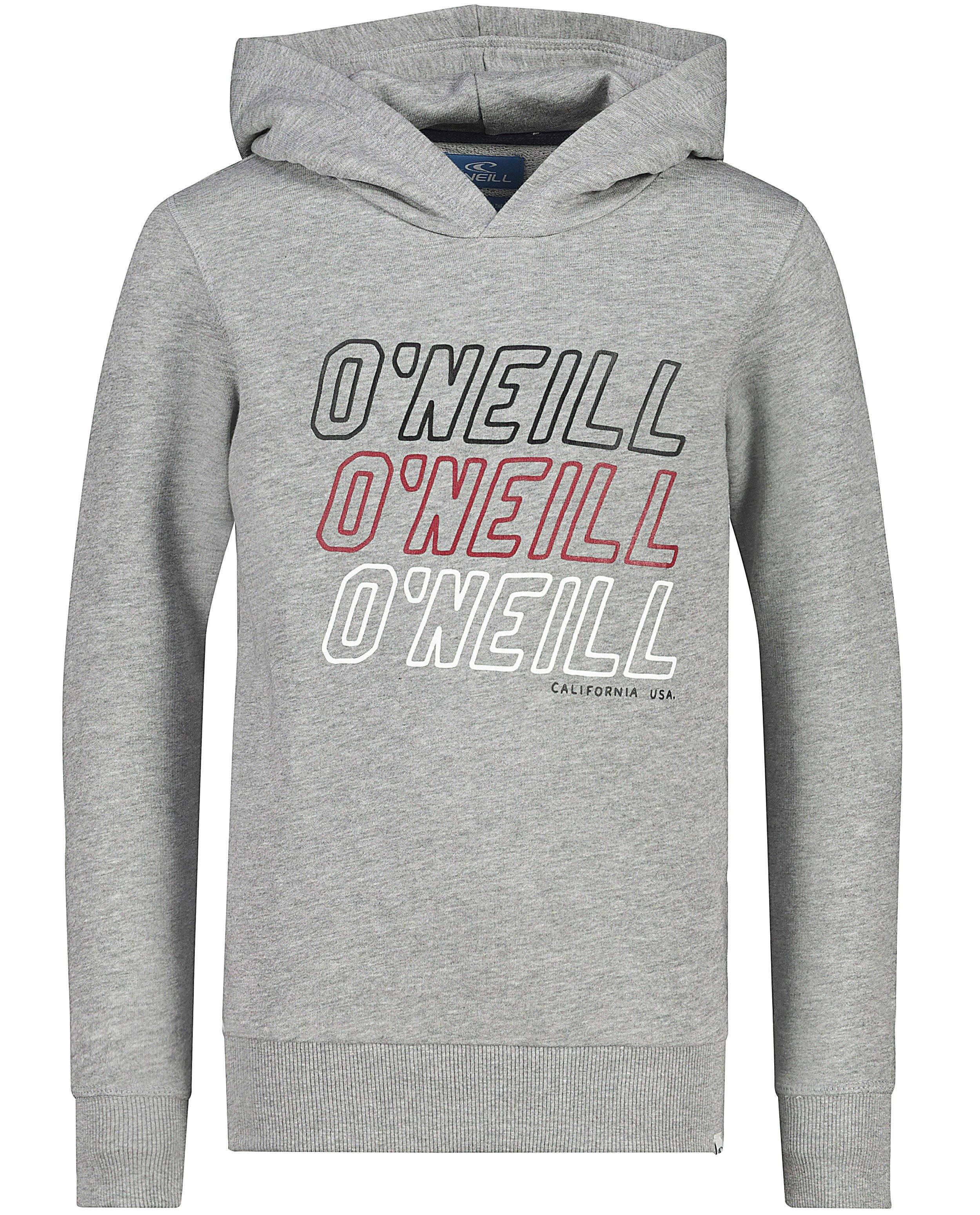 Hoodie gris O’Neill - à inscription - O’Neill