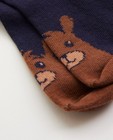 Chaussettes - Chaussettes bleues avec un ourson pour bébés
