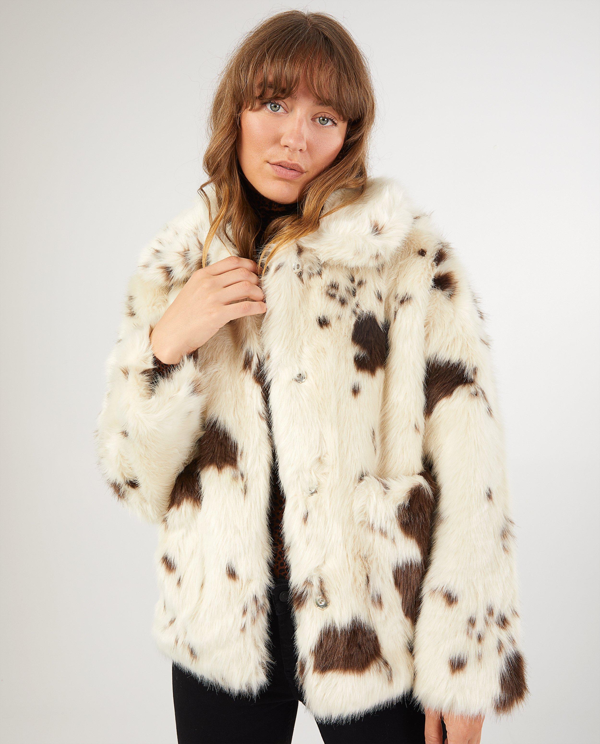 Teddys - 