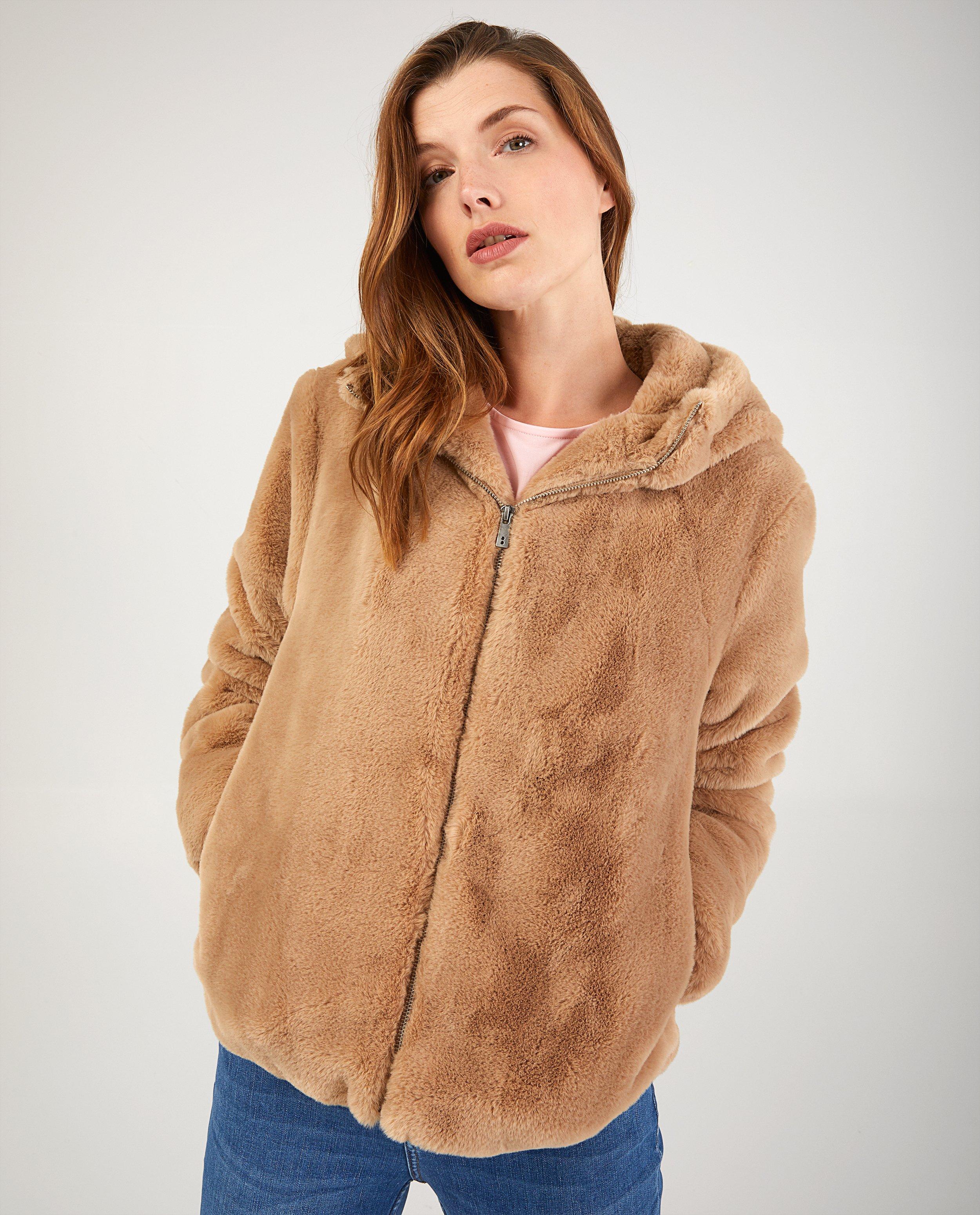 Teddys - 
