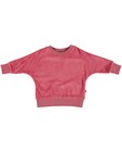 Roze sweater Froy en Dind - van fluweel - Froy en Dind