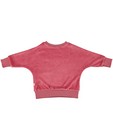 Sweaters - Roze sweater Froy en Dind