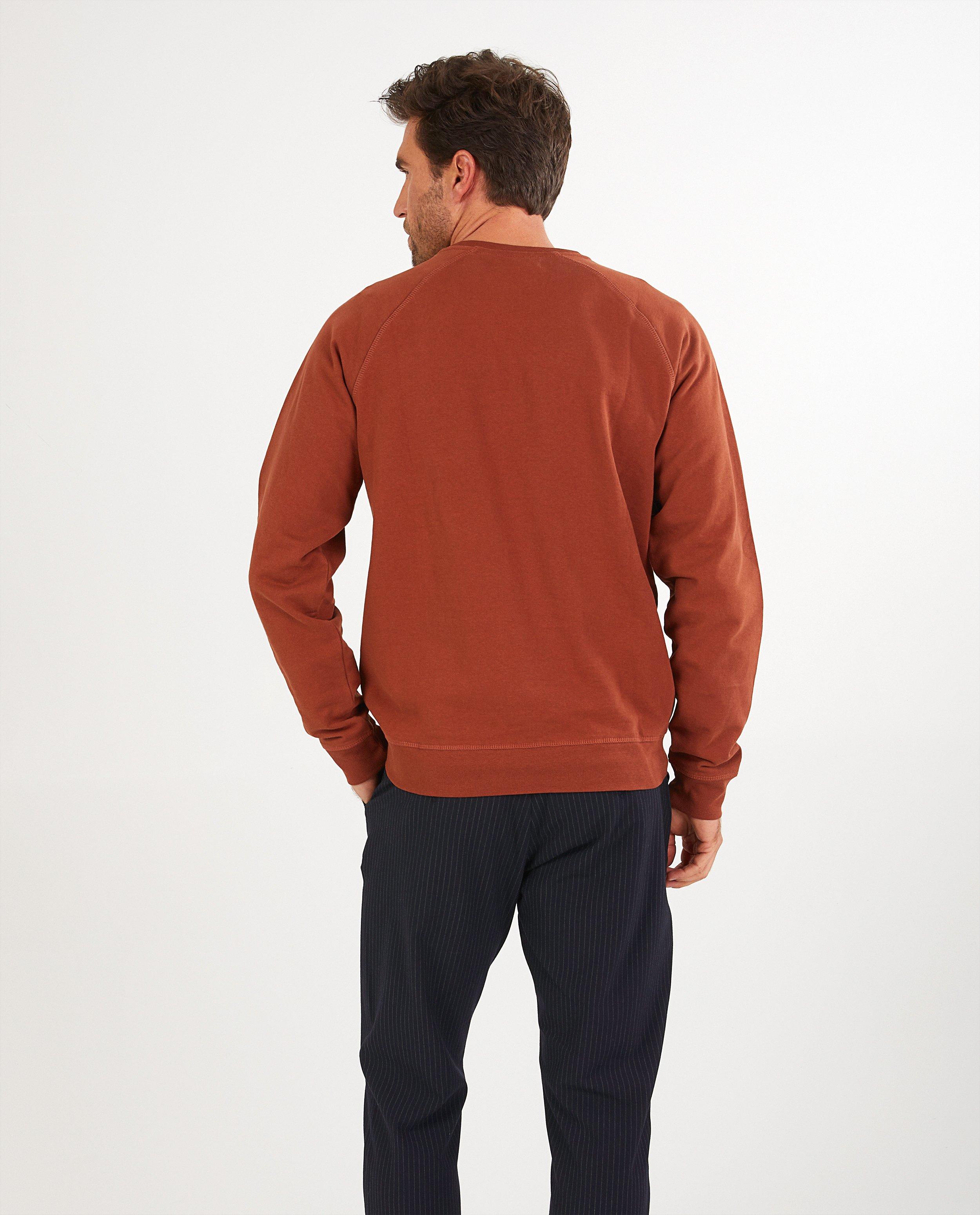 Sweaters - 