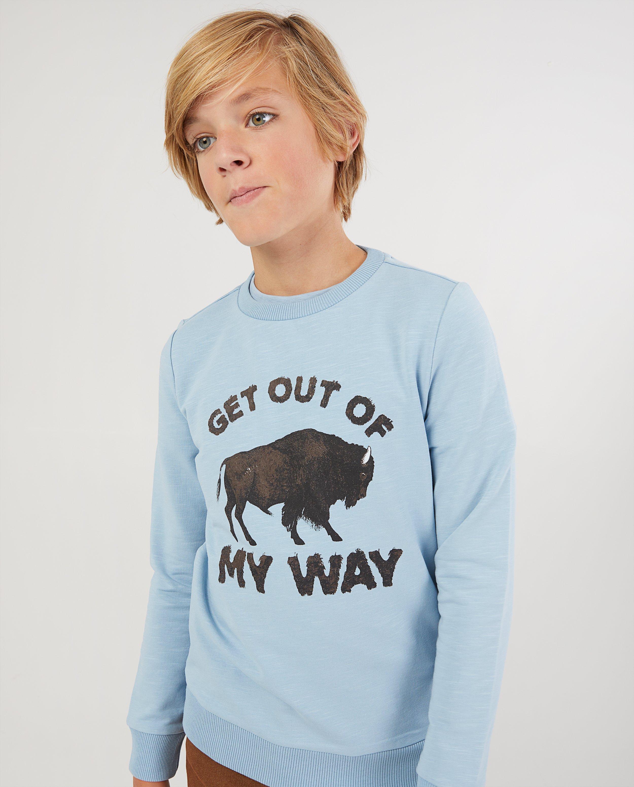 Sweaters - Lichtblauwe sweater met print