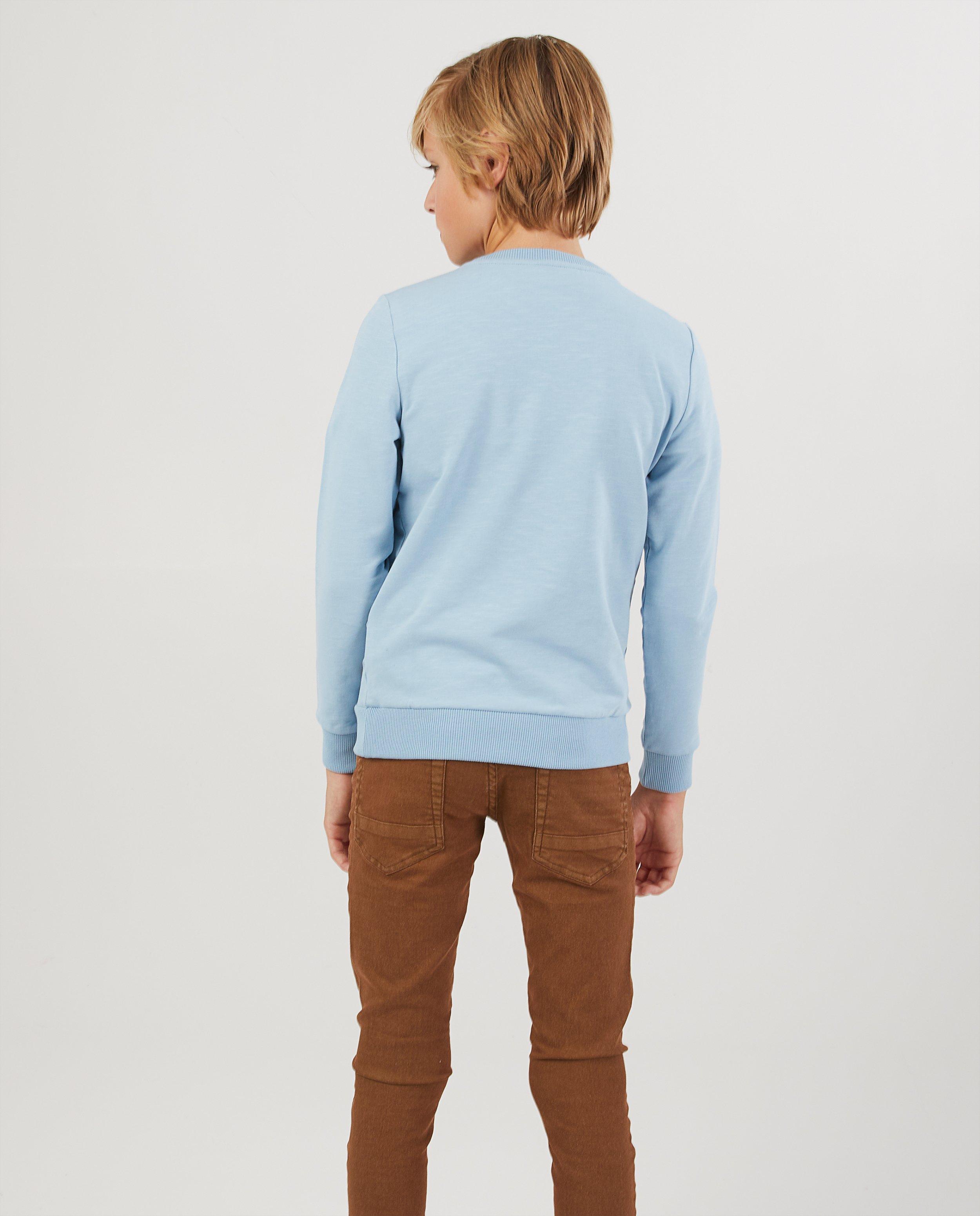Sweaters - Lichtblauwe sweater met print