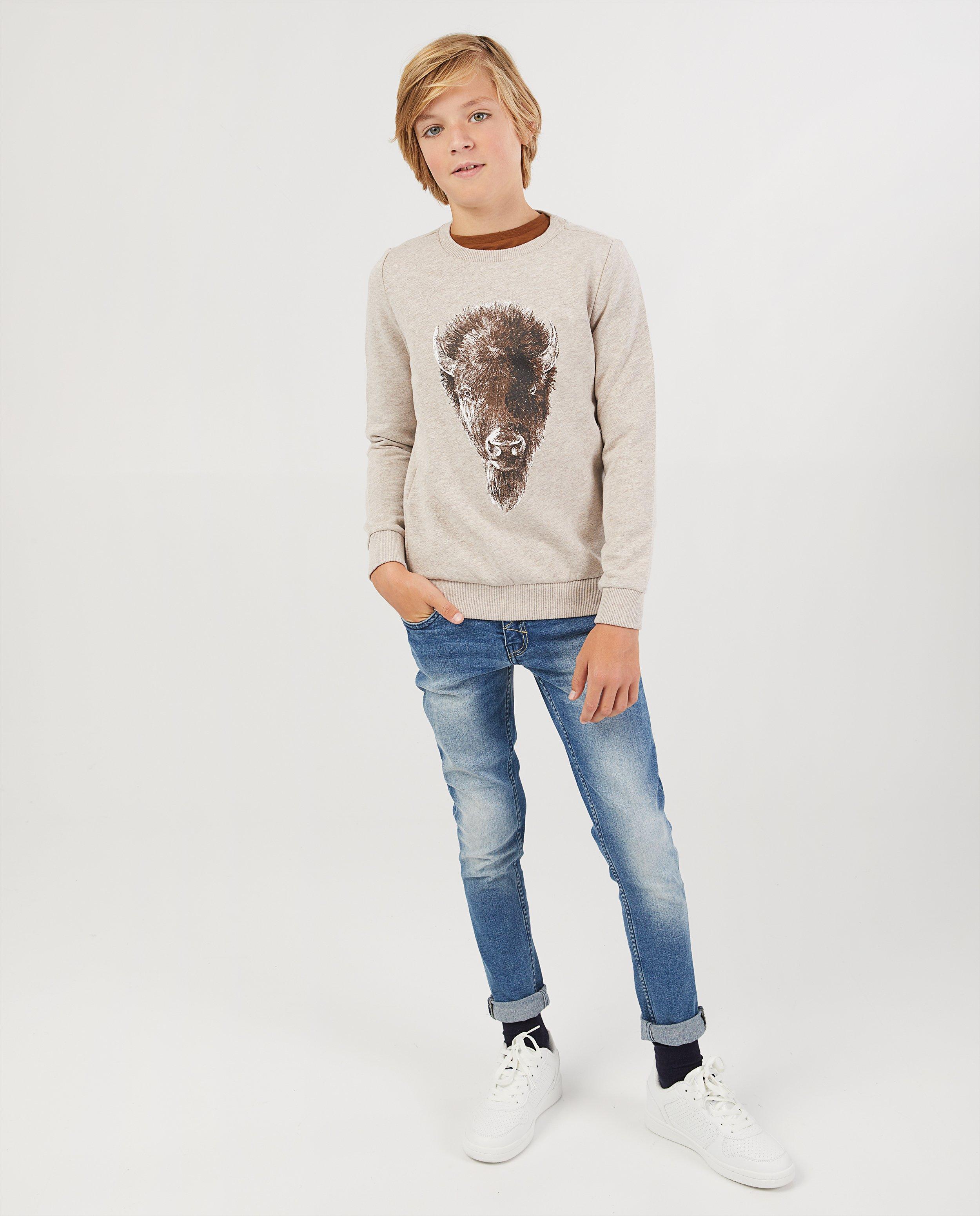 Beige sweater met bizonprint - gemêleerd - Fish & Chips