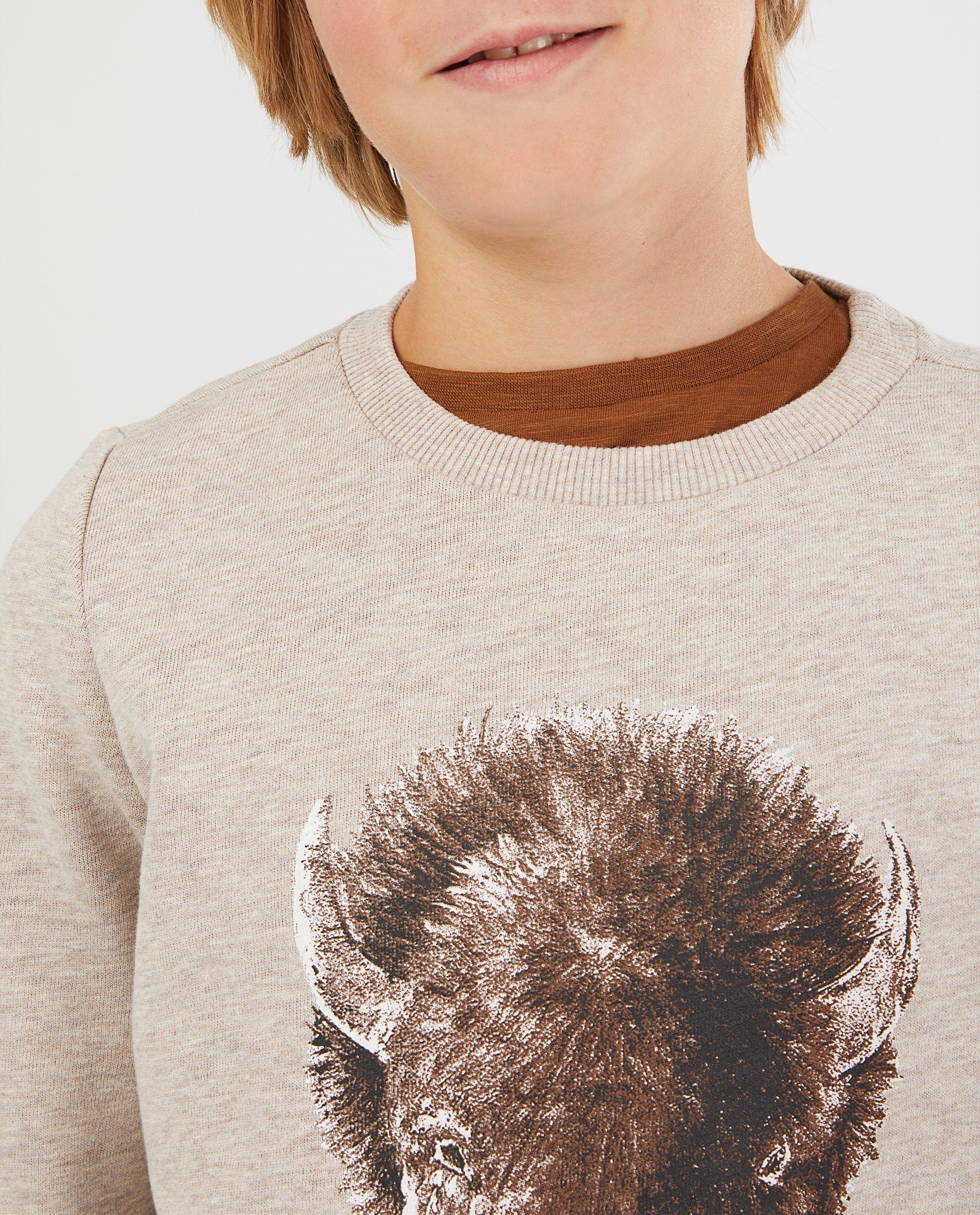 Sweaters - 