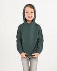 Sweaters - Groene sweater Wickie
