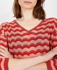 Truien - Gebreide trui in roze en rood