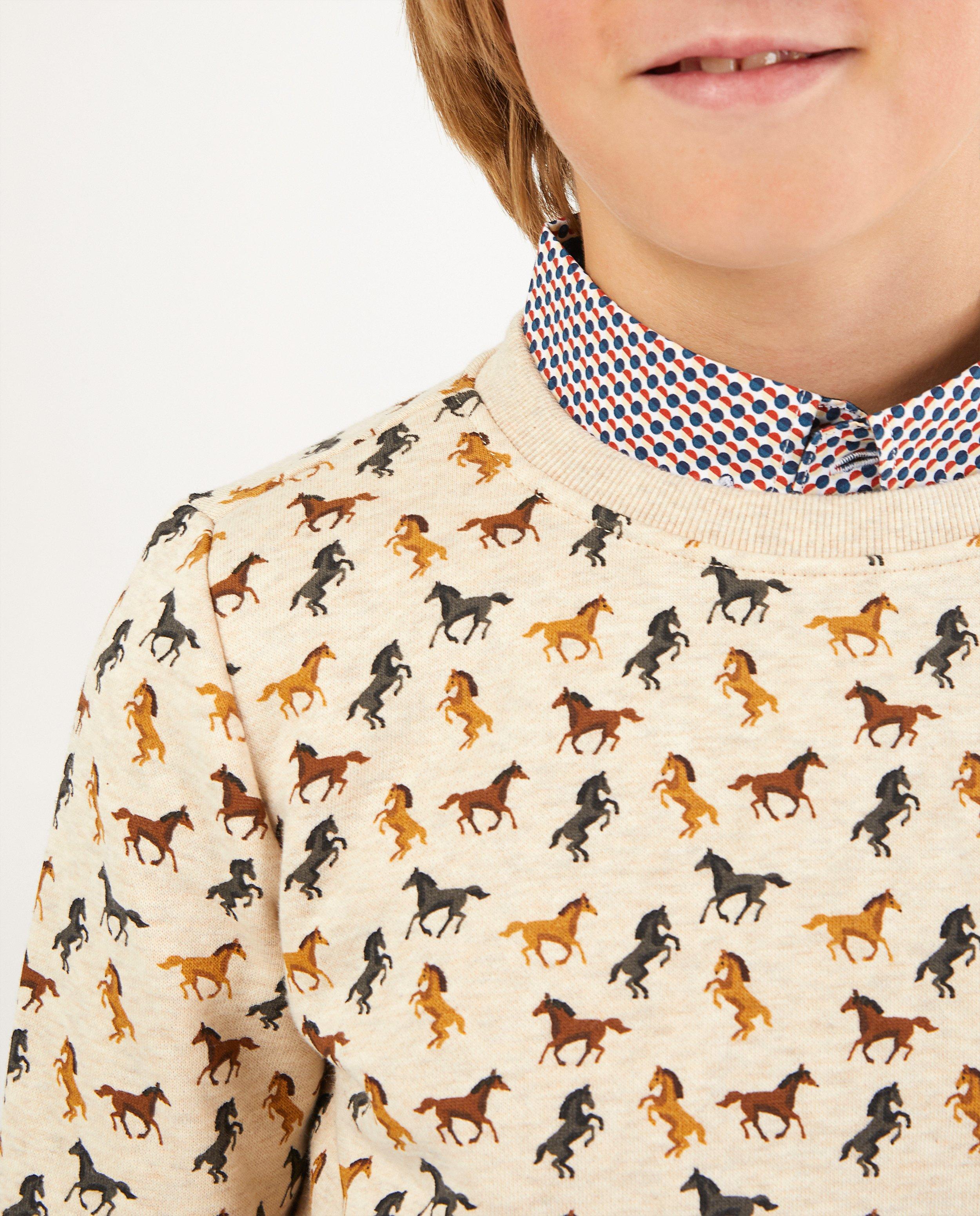 Sweaters - 