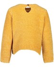 Truien - Gele trui met borduursel
