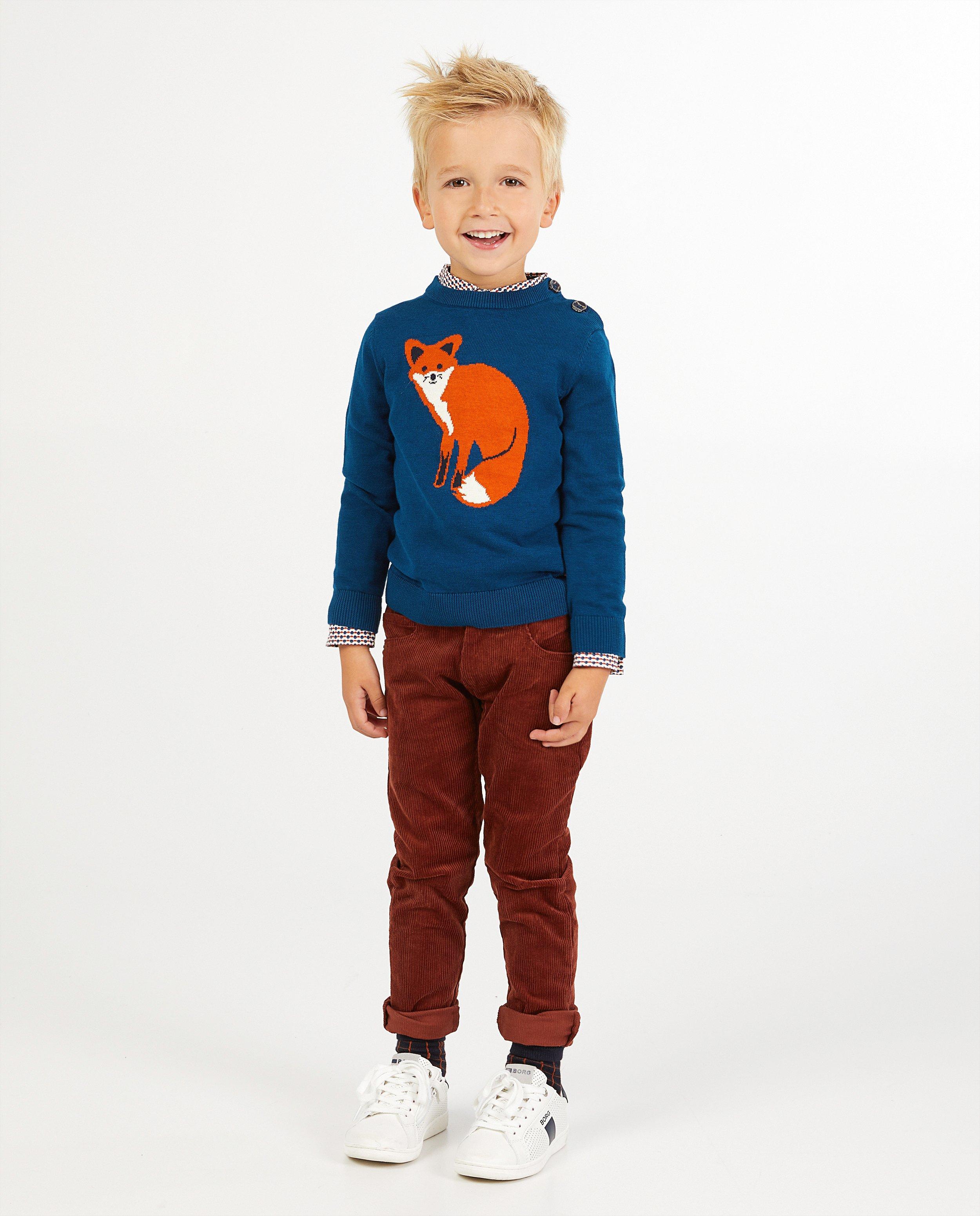Pull bleu avec un renard Hampton Bays - en fin tricot - Hampton Bays