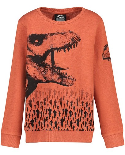 Sweat à imprimé Jurassic Park Sweat à imprimé Jurassic Park