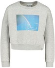 Sweaters - Grijze sweater