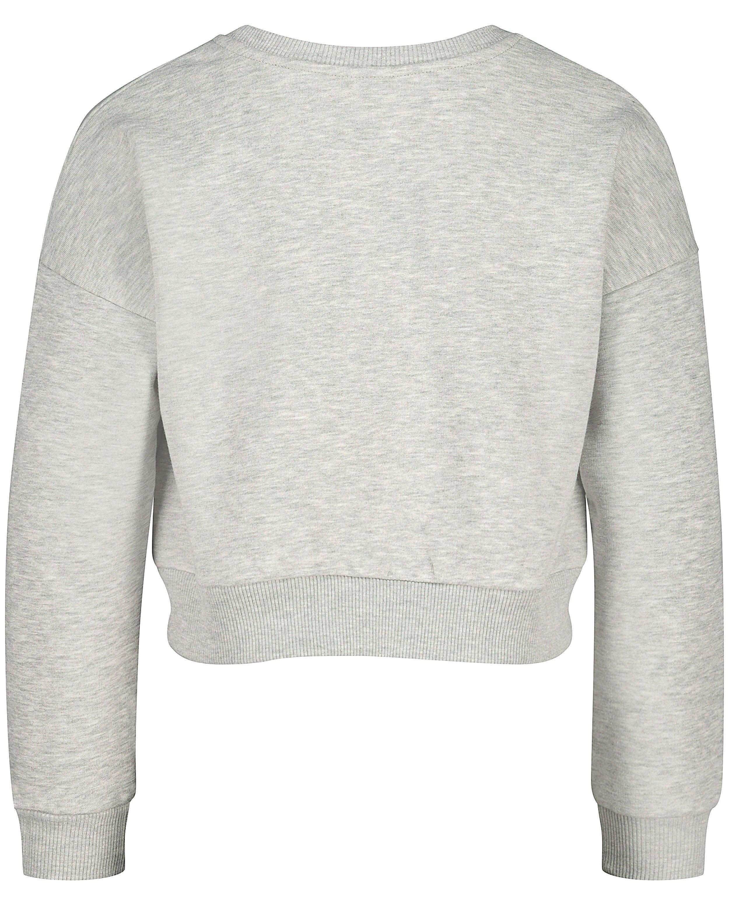 Sweaters - Grijze sweater