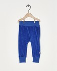 Pantalon de jogging bleu Froy & Dind - en velours - Froy en Dind