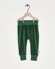 Pantalon de jogging vert Froy & Dind - en velours - Froy en Dind