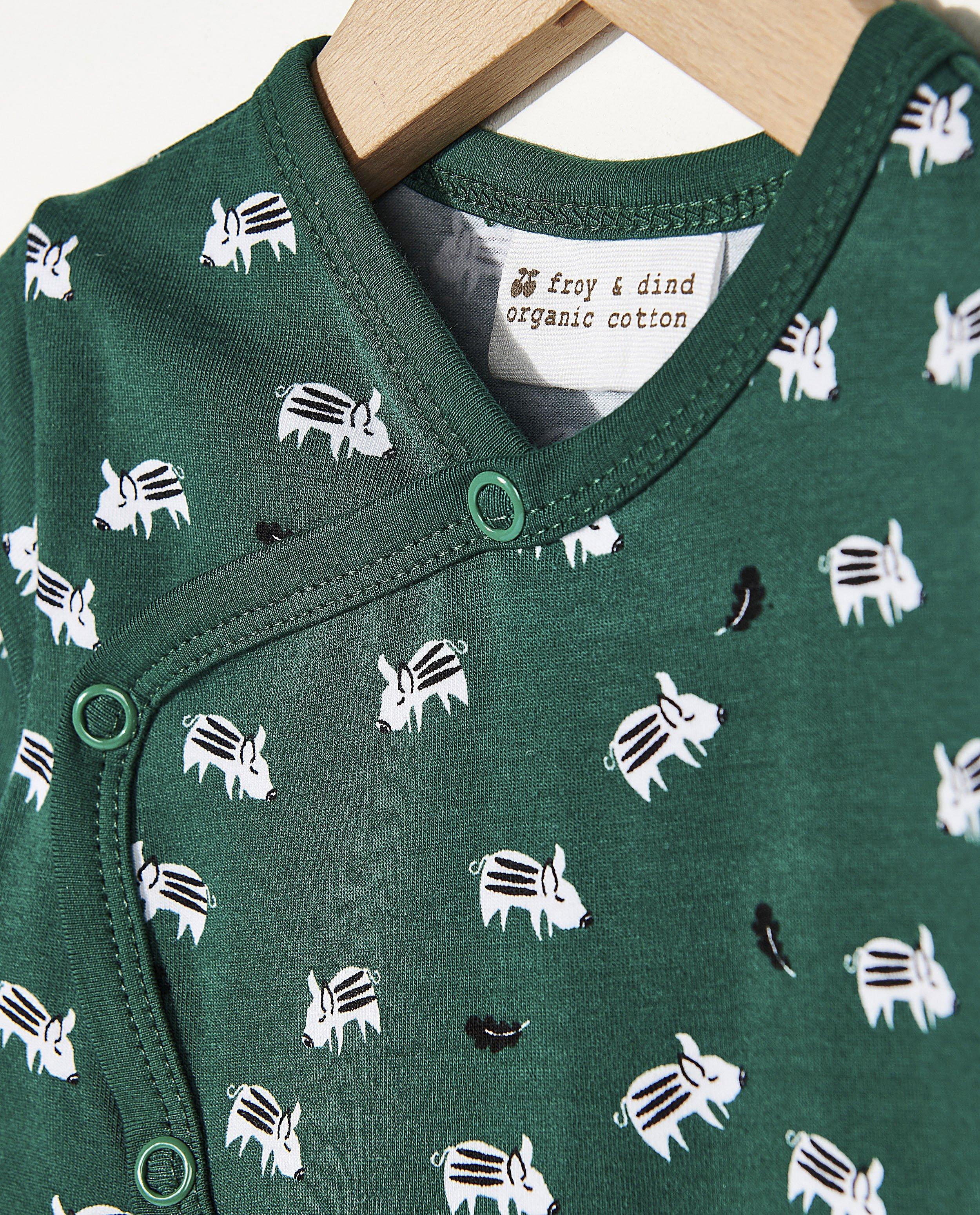 Nachtkleding - Groene pyjama Froy en Dind