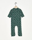 Nachtkleding - Groene pyjama Froy en Dind
