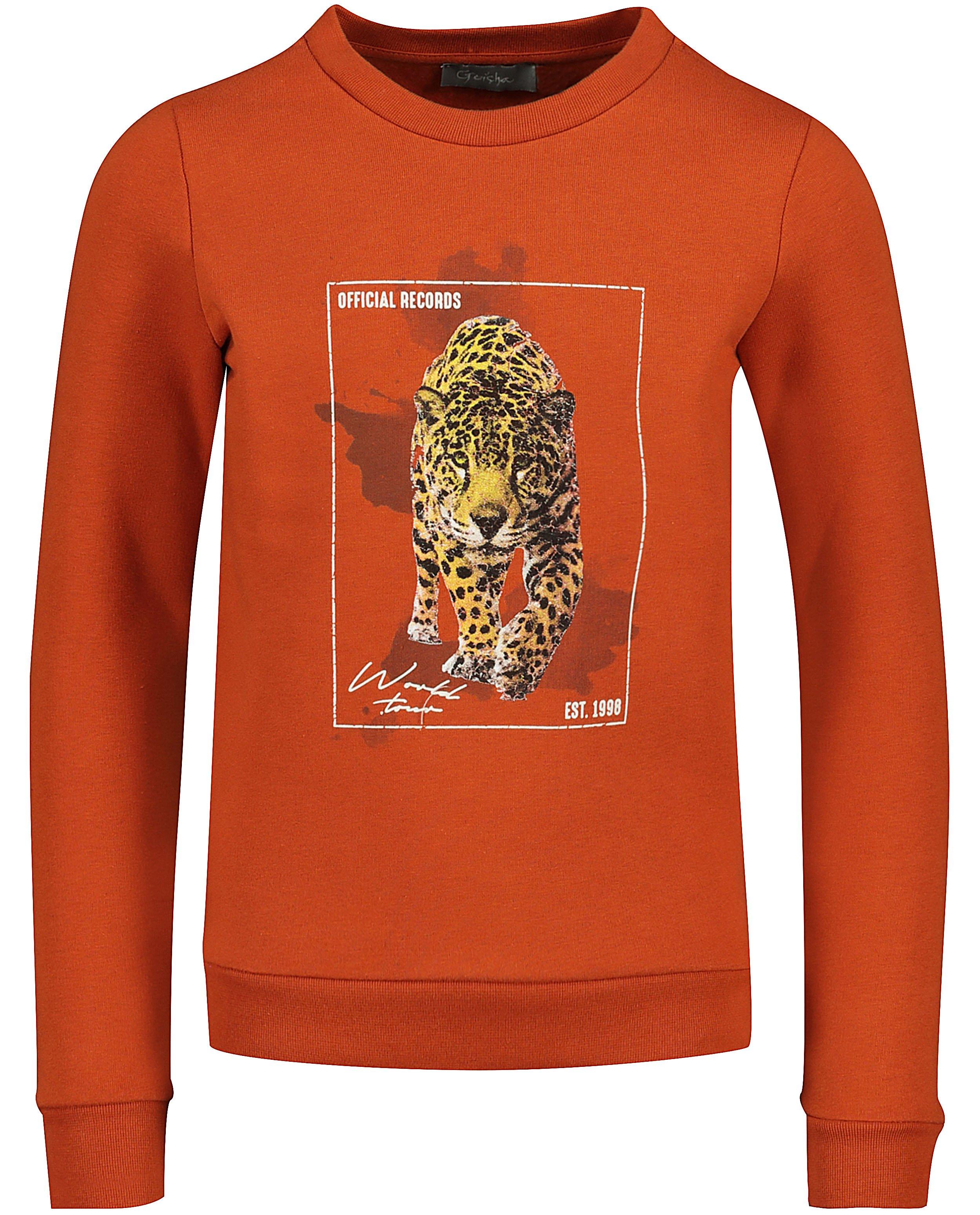 Oranje sweater met print Geisha - luipaard - Geisha