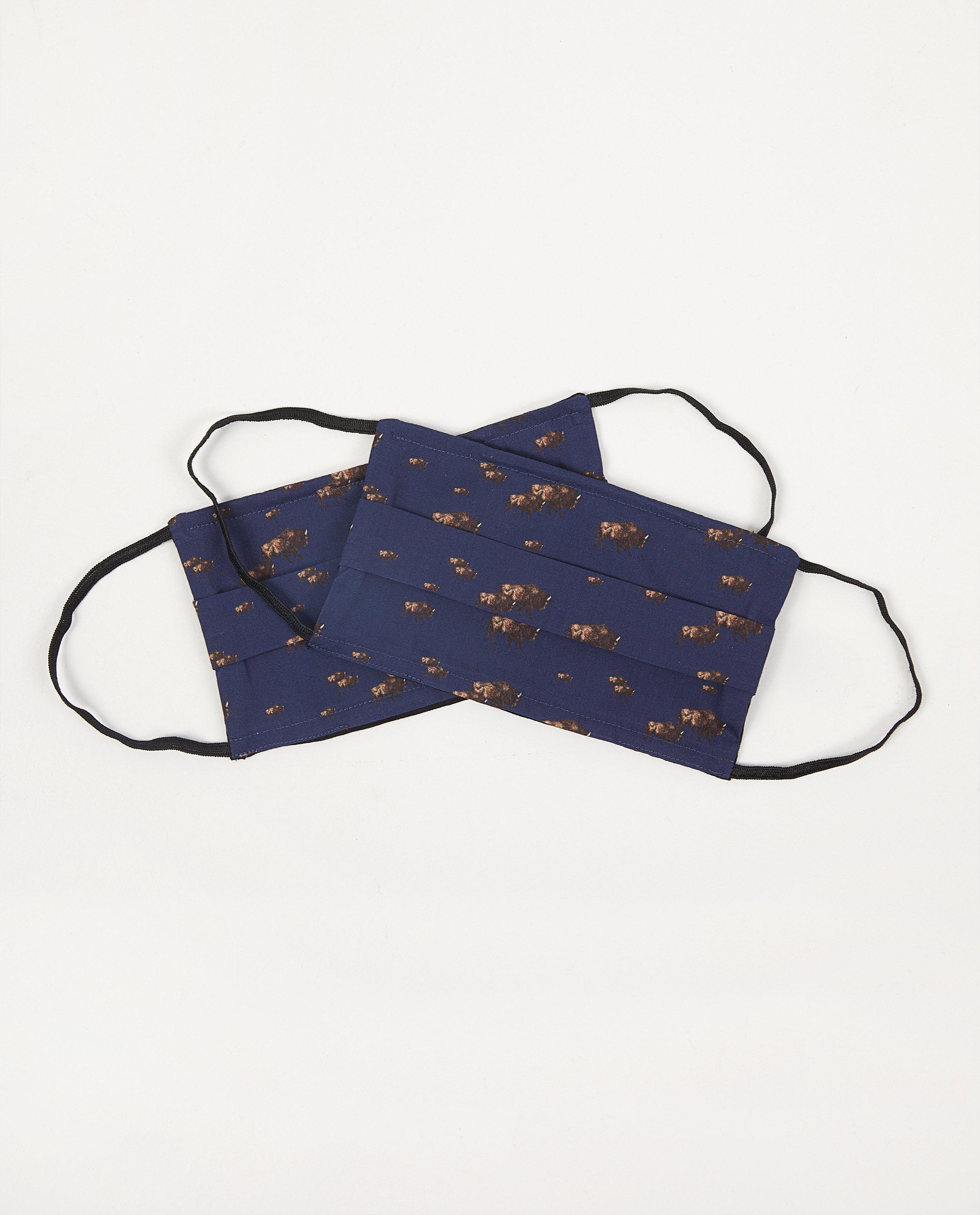 2 masques bleus avec des bisons - lot de 2 - Fish & Chips