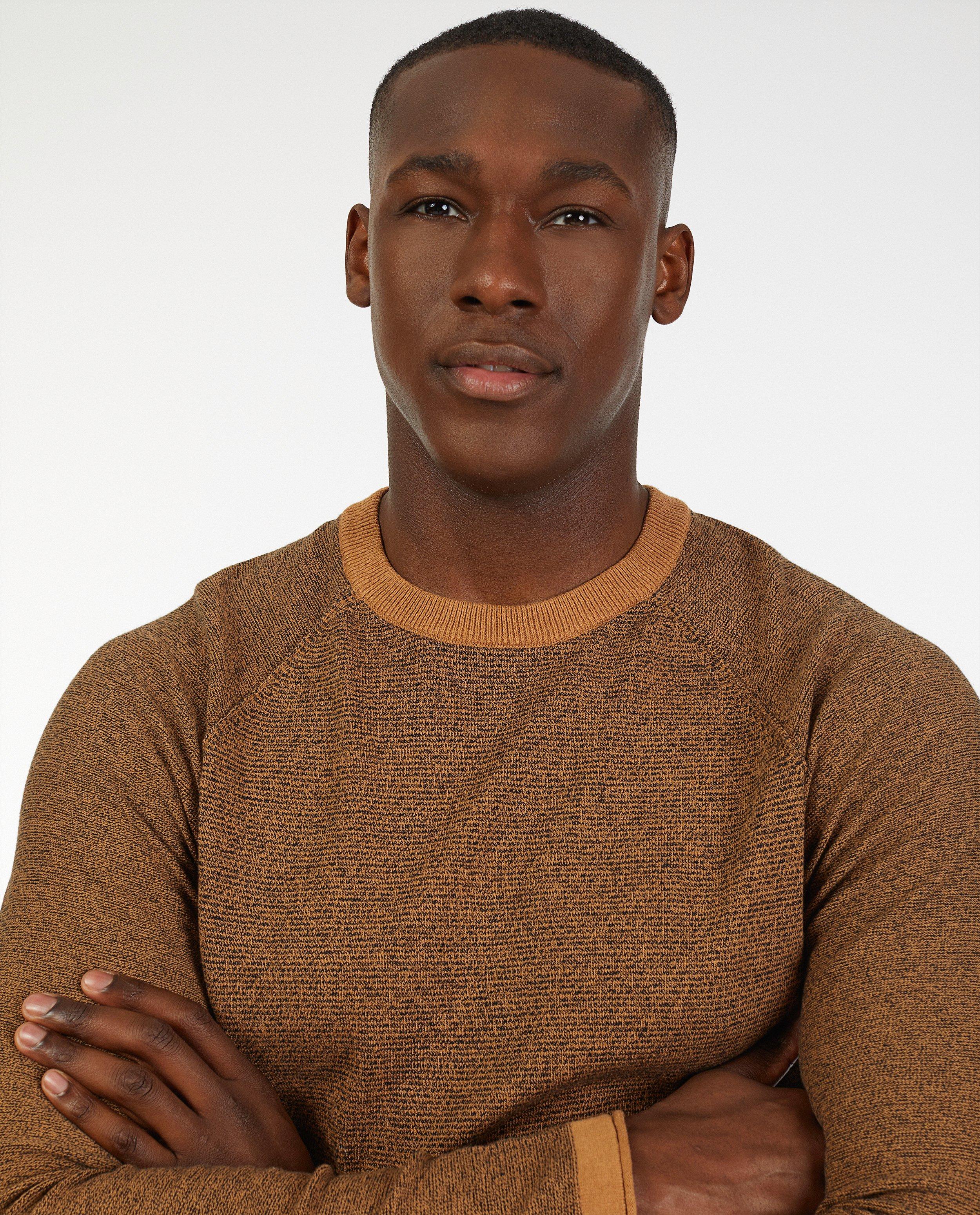 Pulls - Pull brun en coton bio