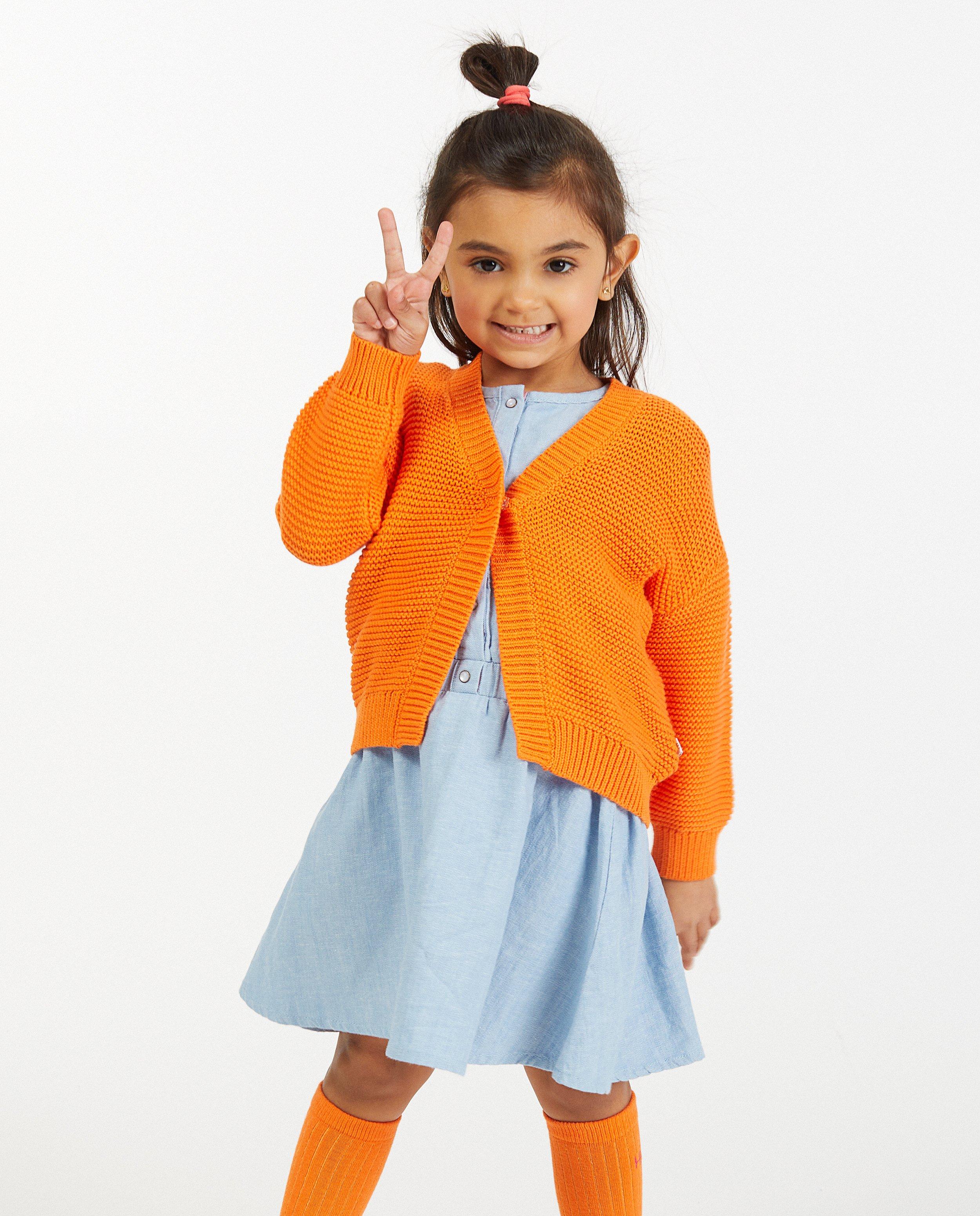 Sweaters - Felroze cardigan Hampton Bays