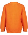 Sweaters - Felroze cardigan Hampton Bays