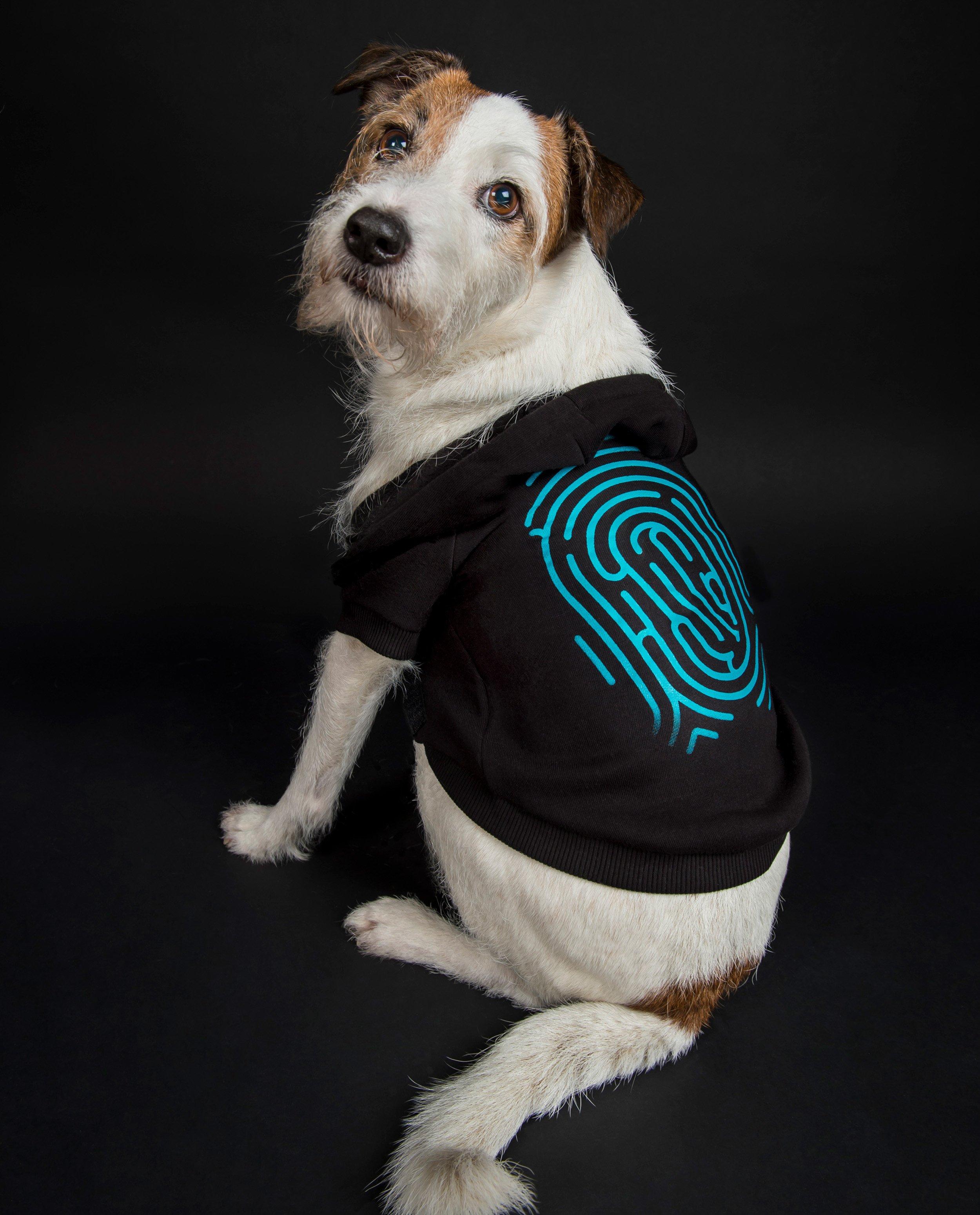 De Mol-dogsie - personaliseerbaar - De Mol