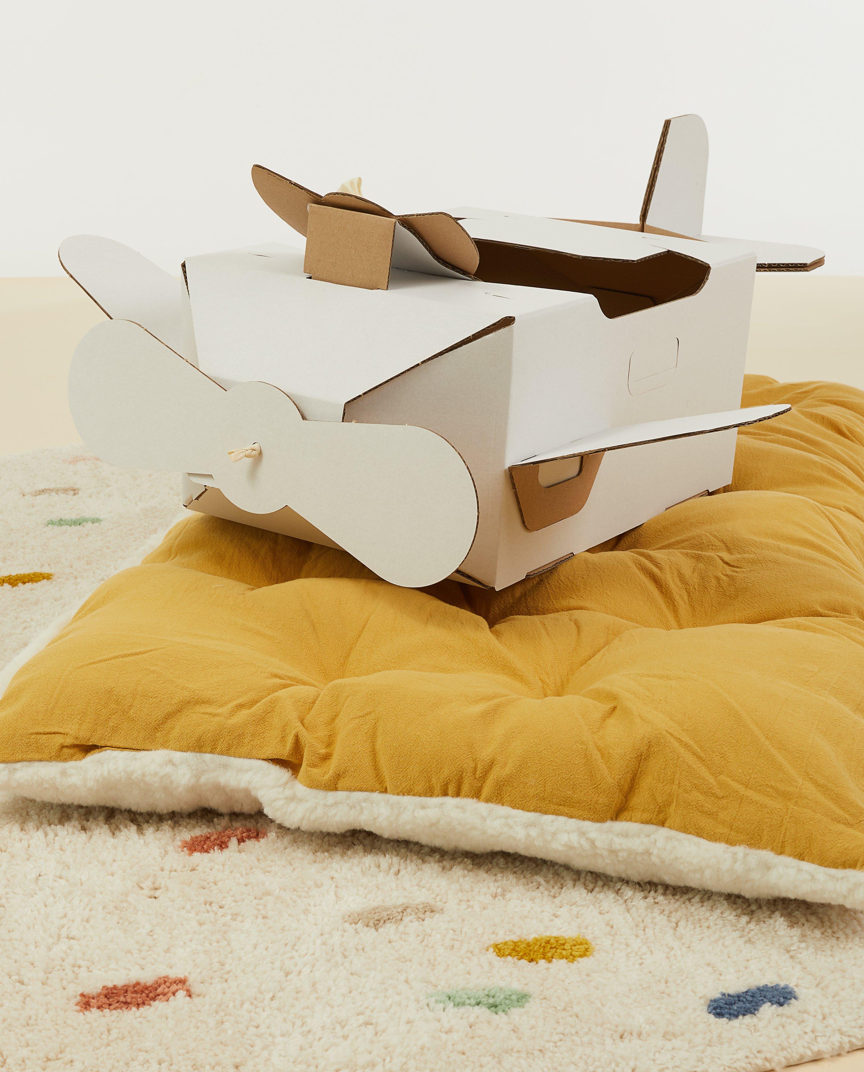 Cadeaux - Avion en carton Mister Tody