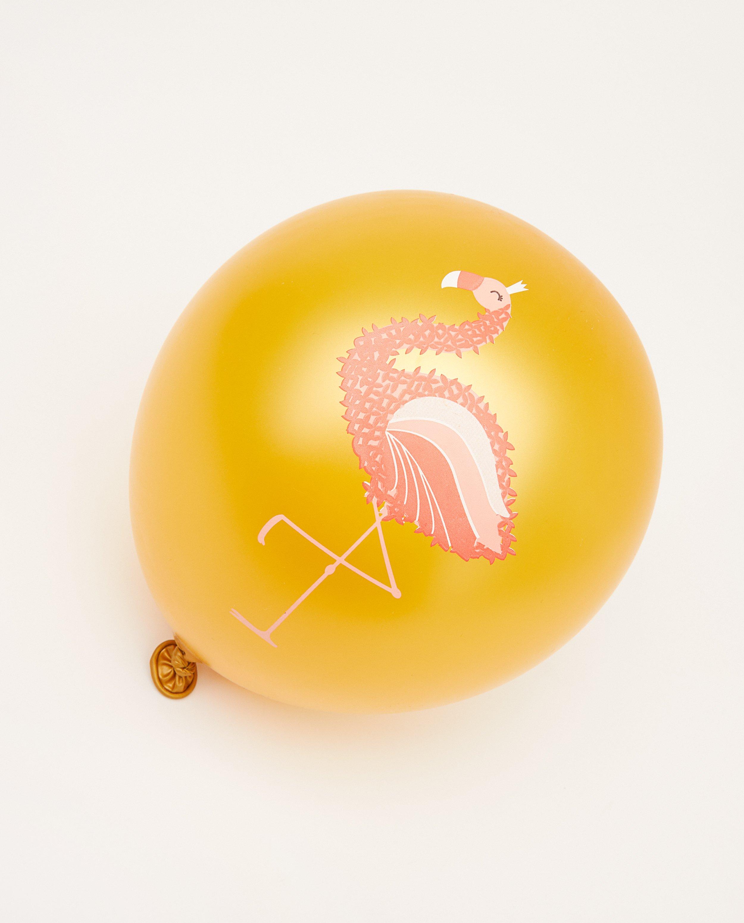 Set van 6 ballonnen AVA x JBC - JBC X AVA - AVA x JBC