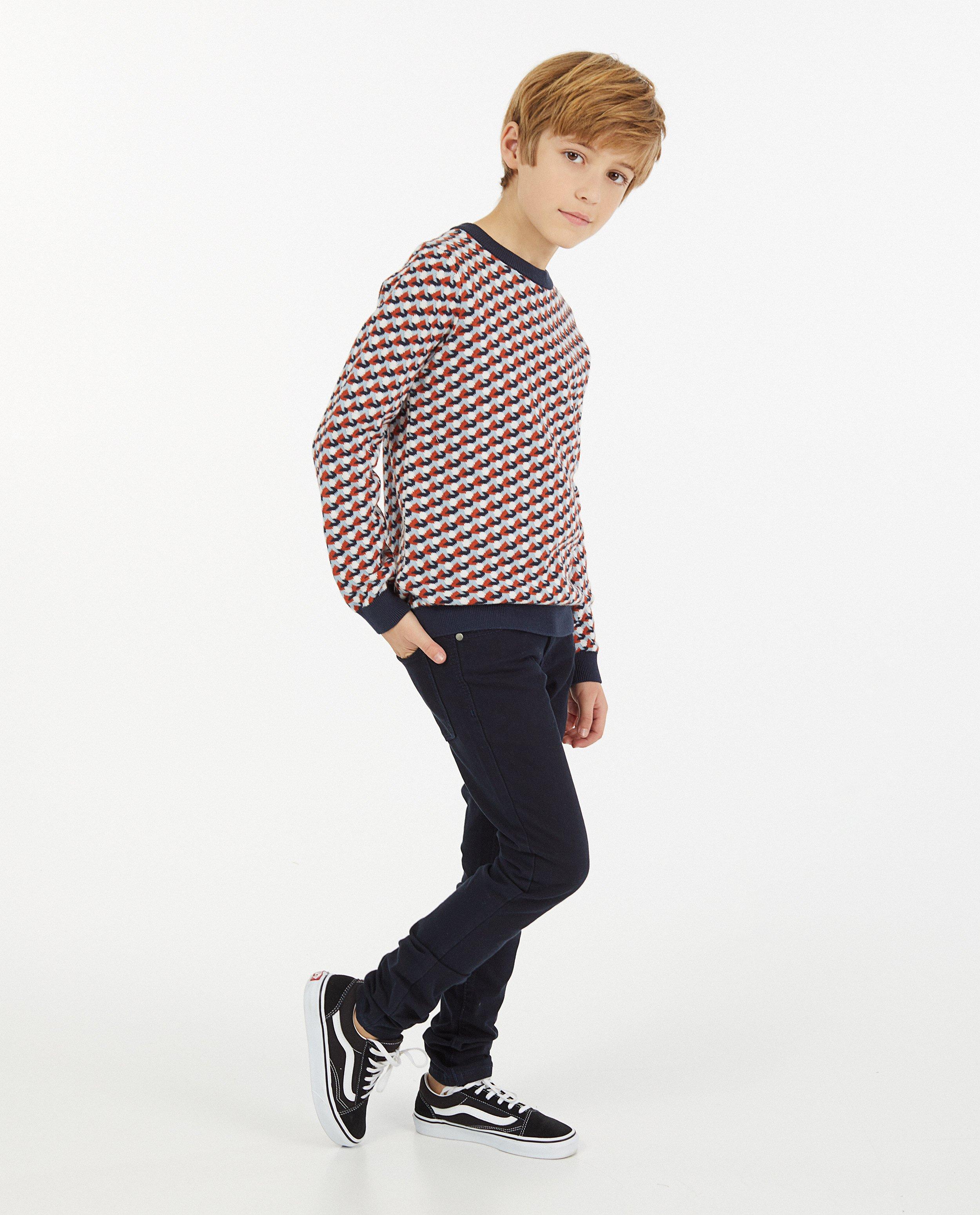 Gebreide trui met jacquard patroon - blauw en wit - Fish & Chips
