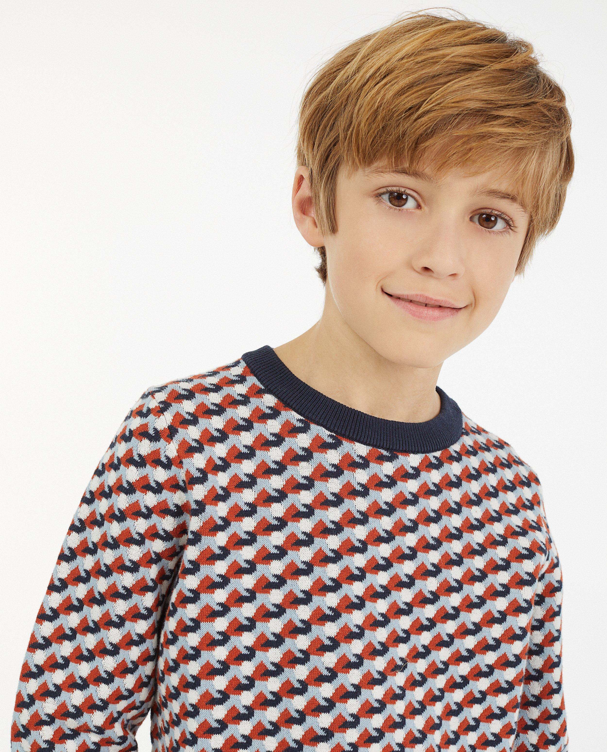 Pulls - Pull en tricot à motif jacquard